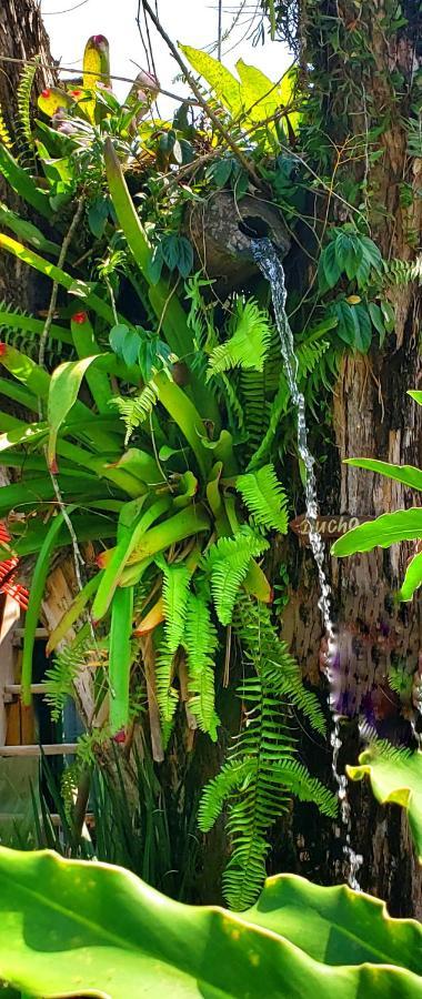 Pousada Villa Maritima トリンダーデ エクステリア 写真